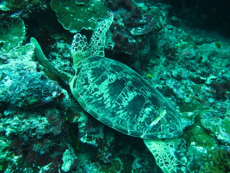 ddd793cf3c60ef0a9343711150b67d5e-sz_221470 ddd793cf3c60ef0a9343711150b67d5e-sz_221470