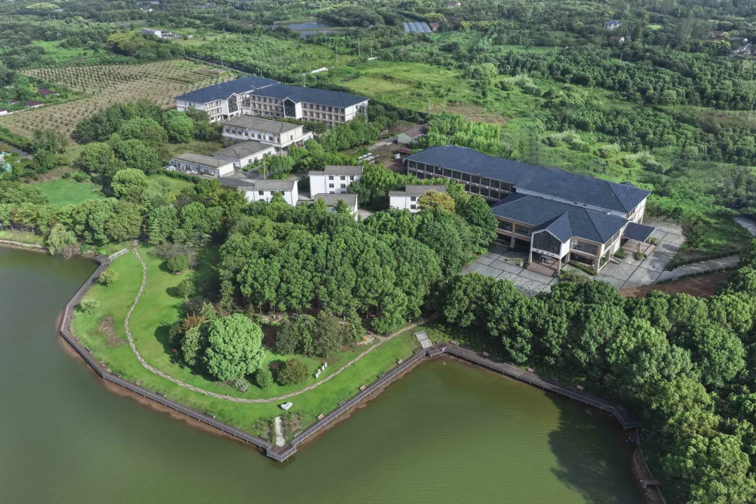 de050f260d75aa2e6908782e75f9b596-sz_4527590