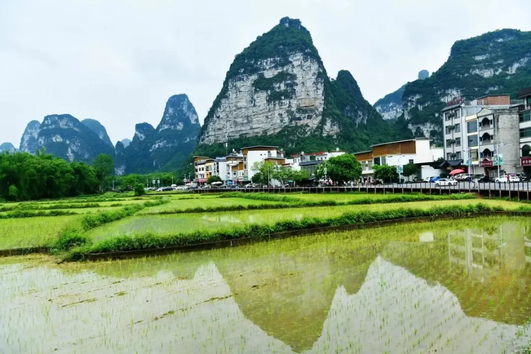 de25fe3c64d62cfc7ea7c6d250c28150-sz_1547081