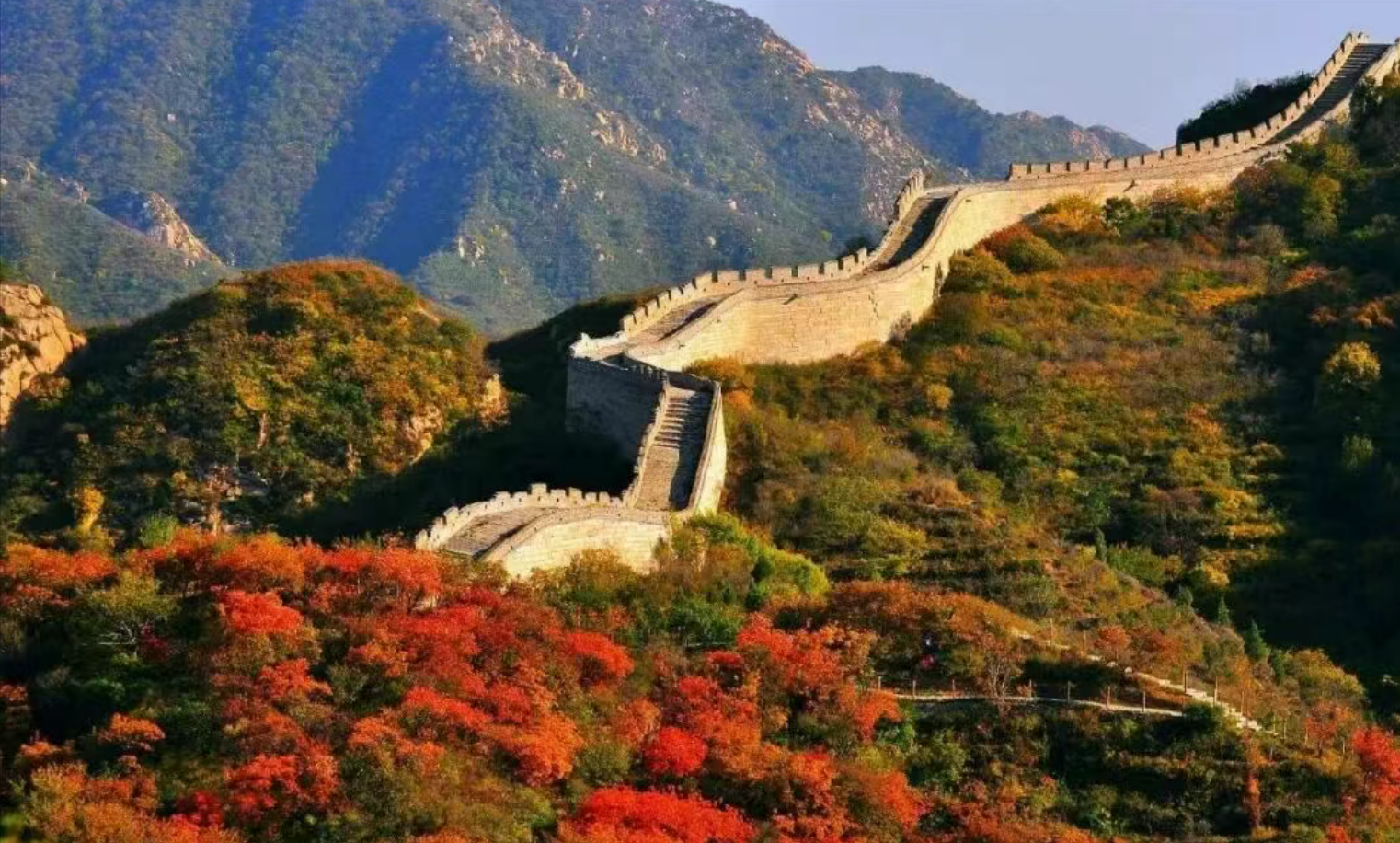 de3bac9f50761aefe500f9df21117f3e