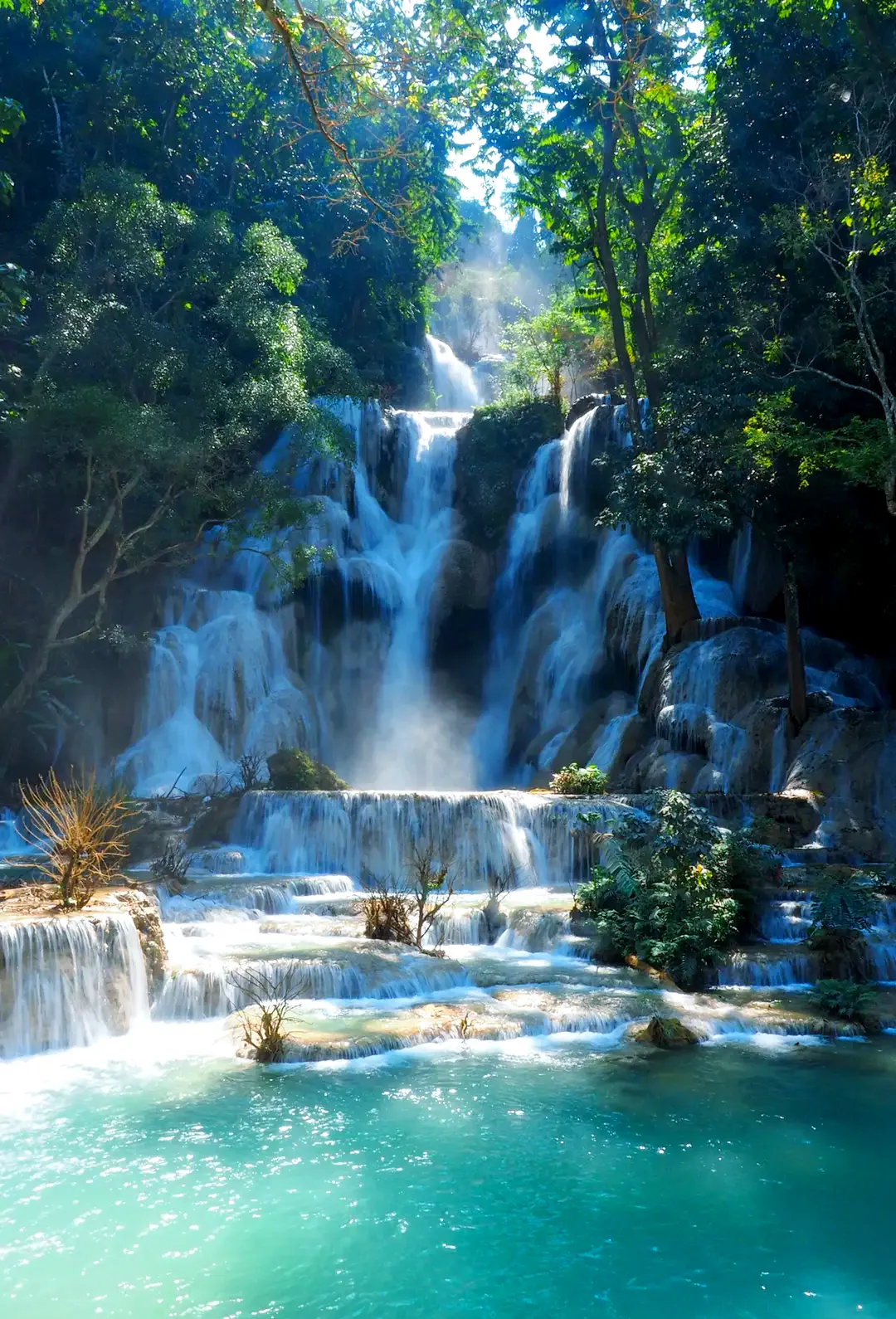 de410446a5ac6286bda991e23d7364a8-sz_2722850