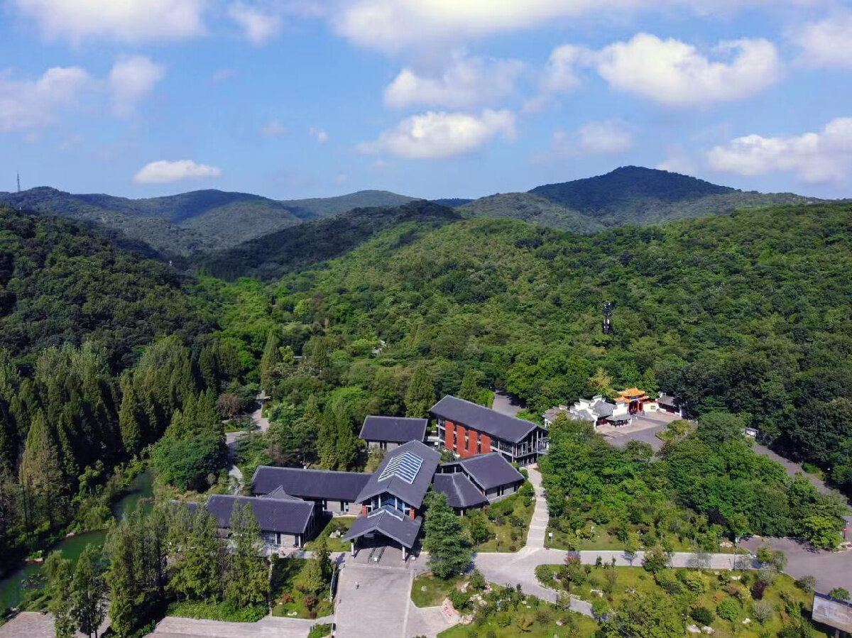 dea27b65b6477e21214cc4014dfa9916-sz_561709