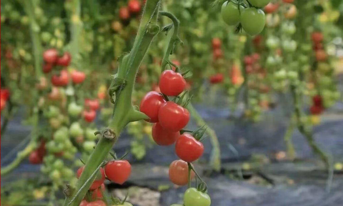 defd0f4cf5489fc84c806f719c9c511c