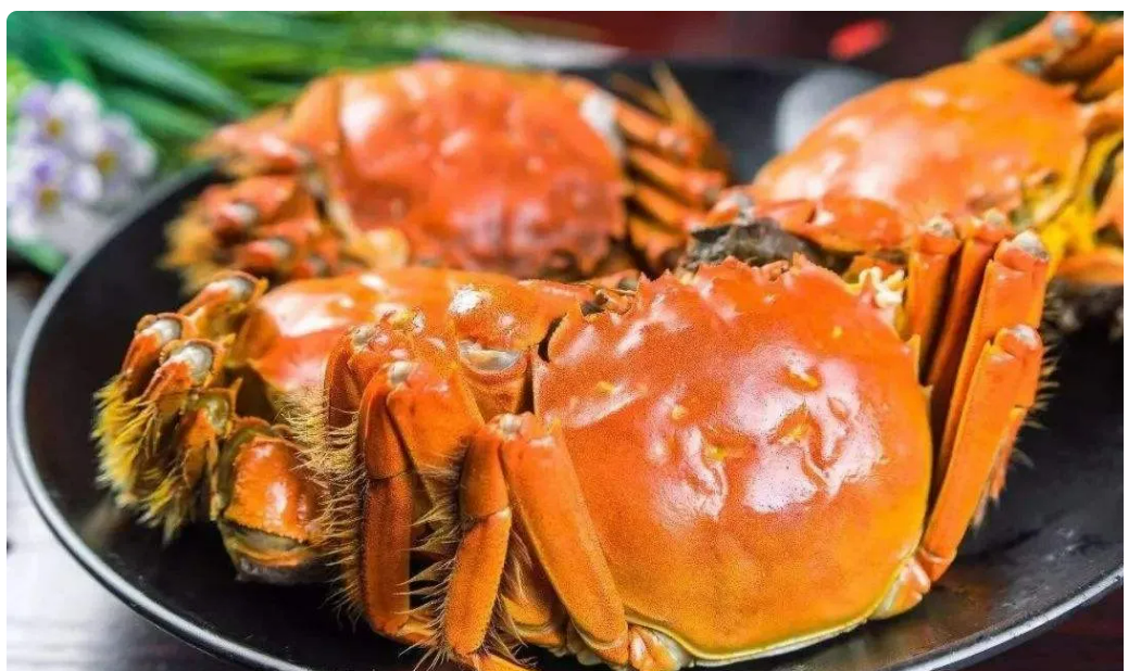 df1ccd303403db6191a6be31ba703f30 df1ccd303403db6191a6be31ba703f30