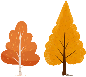 df2ffa38e60d162211a6d42587a57698-sz_2702979