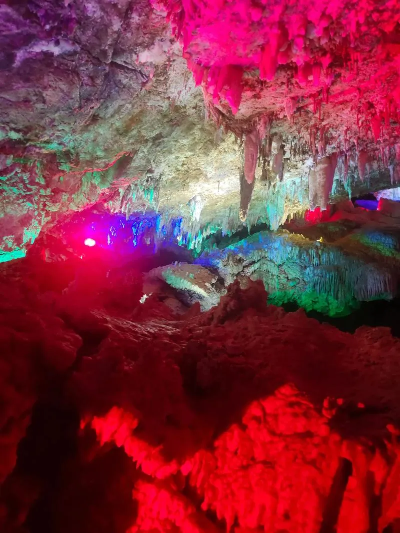 df331f64b2085f1f21310f68a527583d-sz_1209759