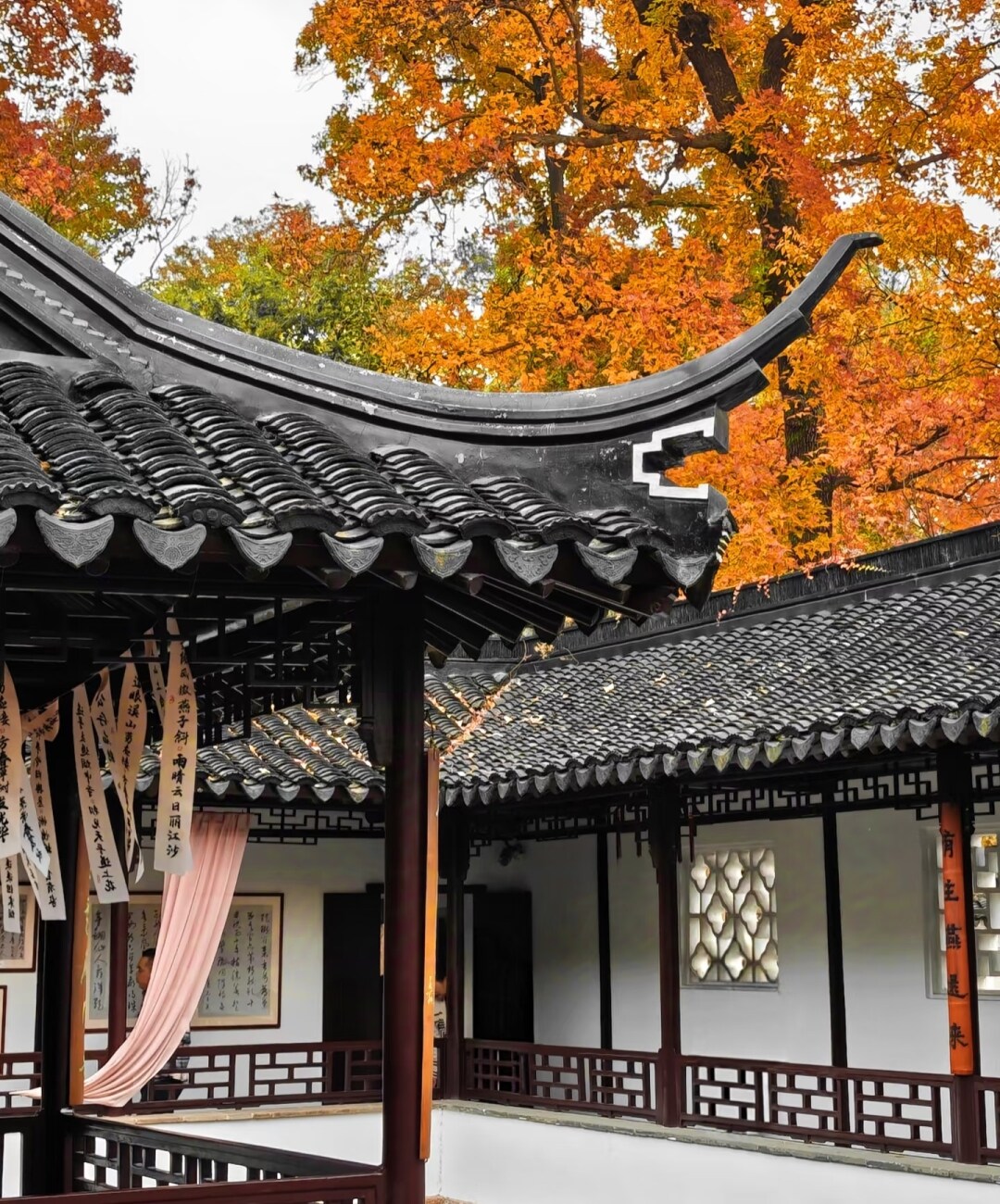 df5030730708a6ce4342e75f850eeb40-sz_1859974