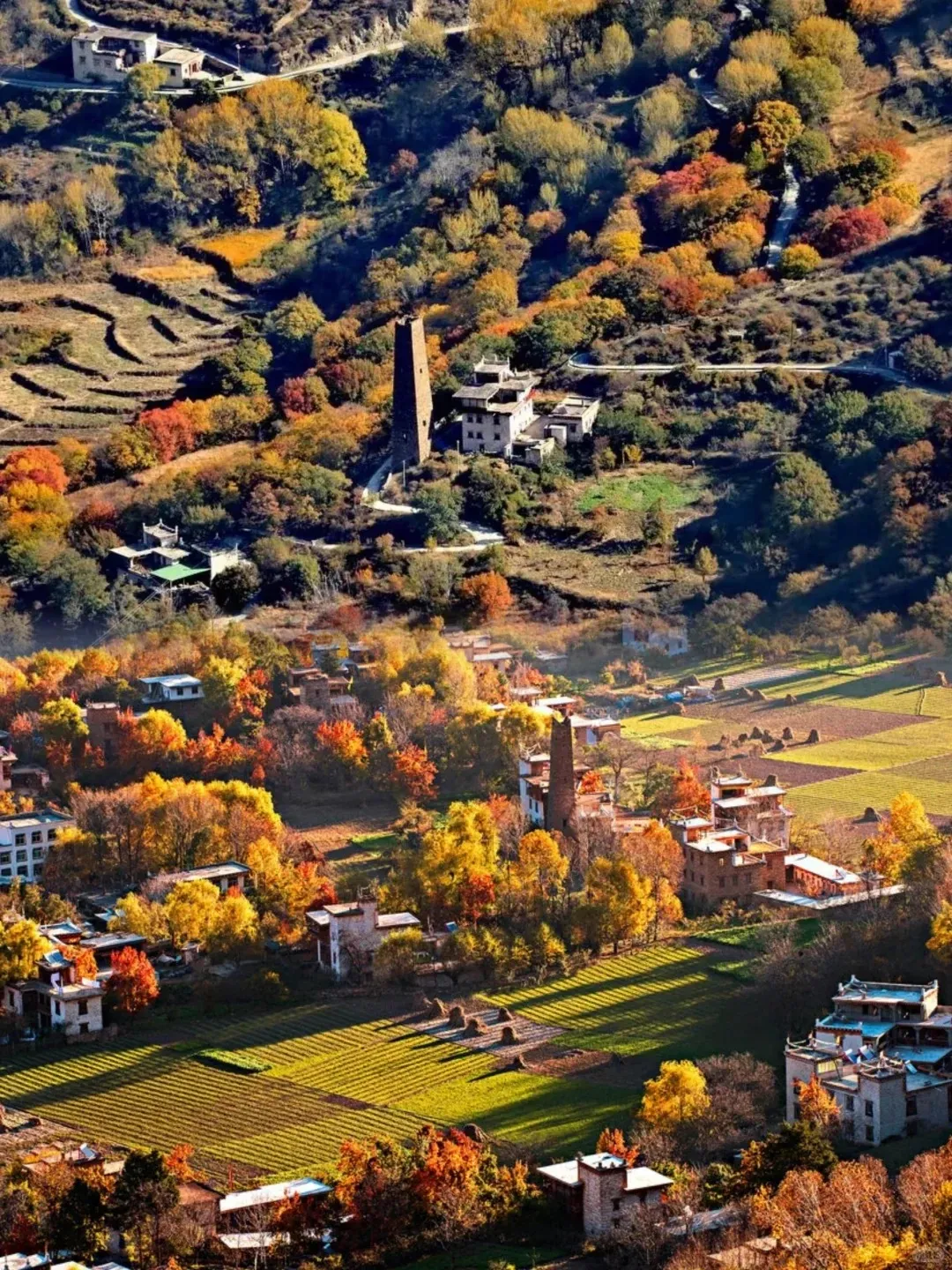 dfbff291758778814ee3dcd5c473570a-sz_632119