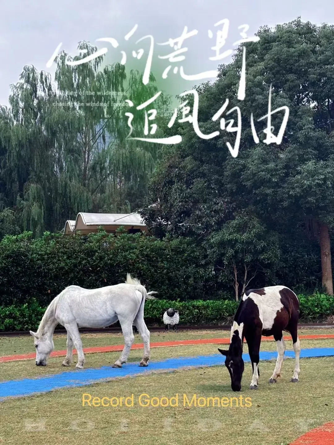 dfe26d3c52ffaa464ef4d4e4e320601e-sz_338504