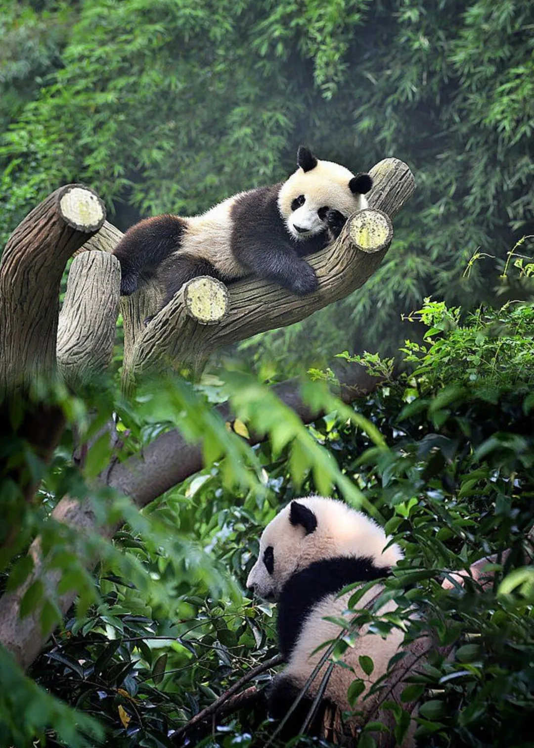 dffc8a19a0e6d763181154bdecc87390-sz_911216 dffc8a19a0e6d763181154bdecc87390-sz_911216