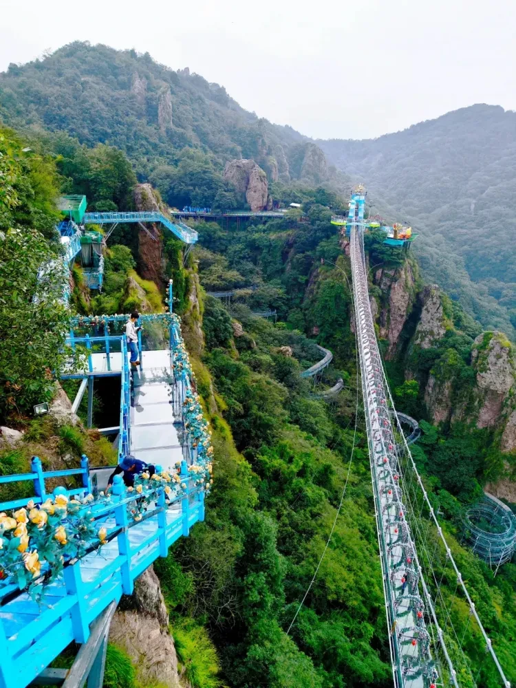 e0084d0d0405671f6e198f8cd5f85dd8-sz_1482306