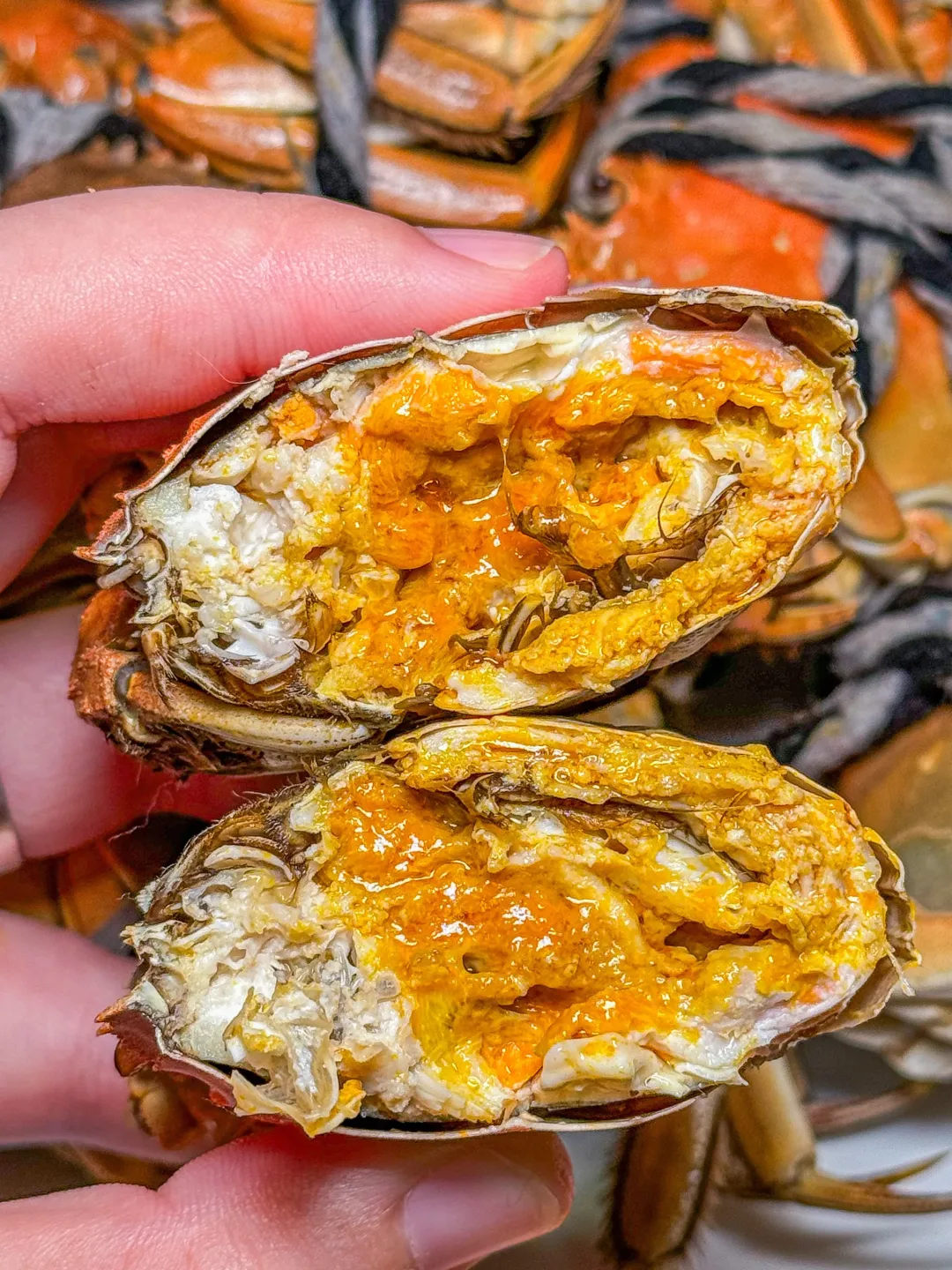 e00de01c81321adc72a9337f244af040-sz_1359664 e00de01c81321adc72a9337f244af040-sz_1359664