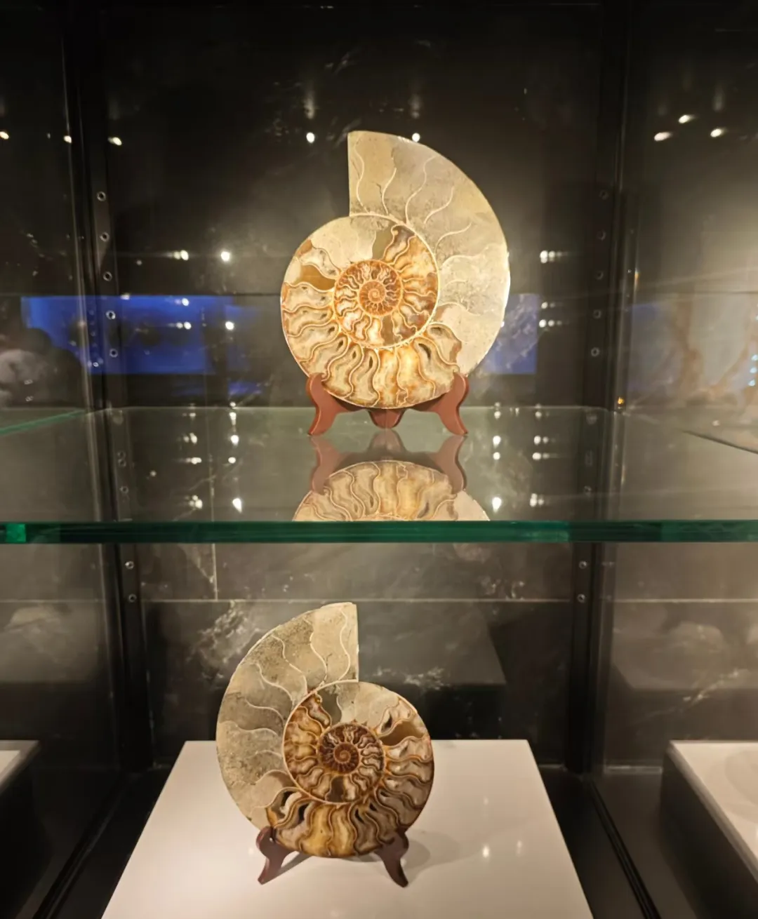 e035080c2b6b44f2c81a0bf40e309cec-sz_729903 e035080c2b6b44f2c81a0bf40e309cec-sz_729903