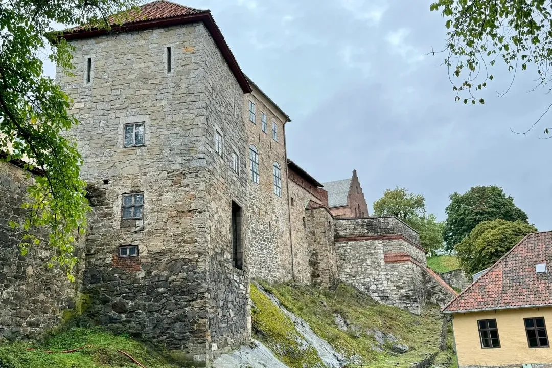 e0884754edb09bcf0d6aed650b578a56-sz_702535