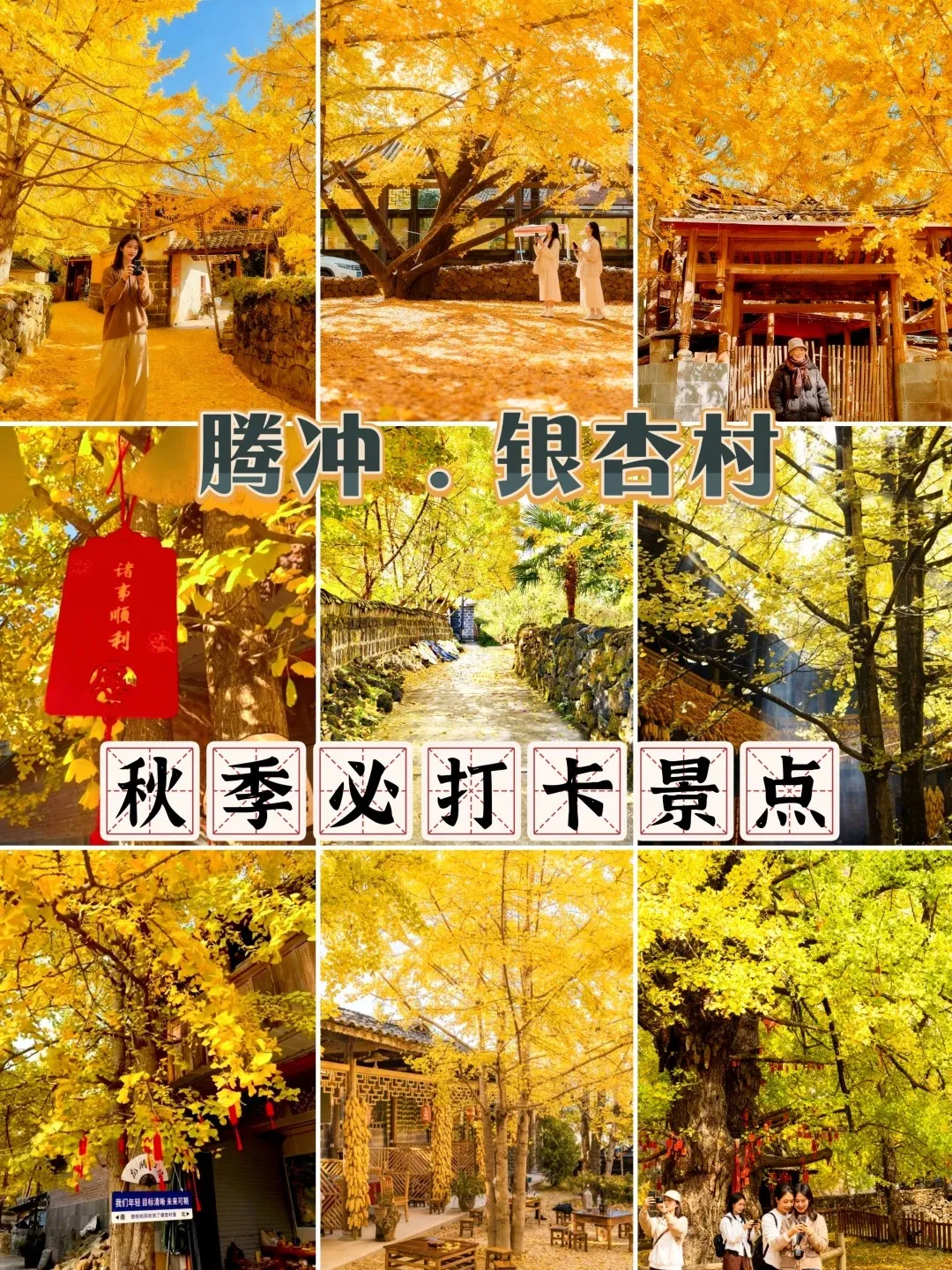 e0e9fbdfc3ada1cfed424e0a9fe3d95b-sz_4739708