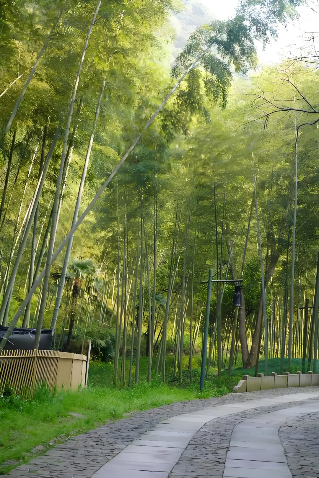 e100dd9cee2c0340584b82606126f91b-sz_1107881 e100dd9cee2c0340584b82606126f91b-sz_1107881