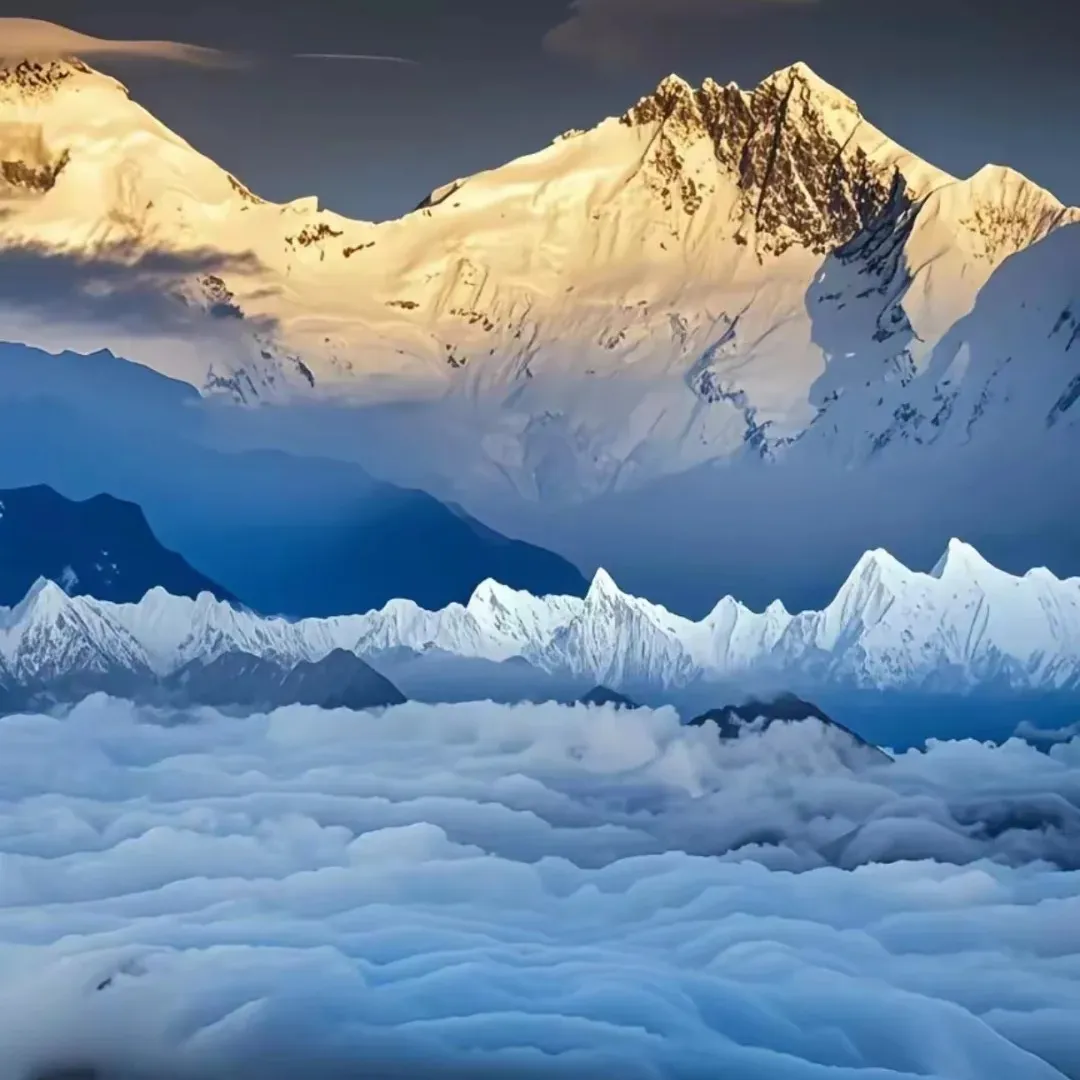 e11311cc18ea3e48dcc46e4d0e1f8e6b-sz_202319