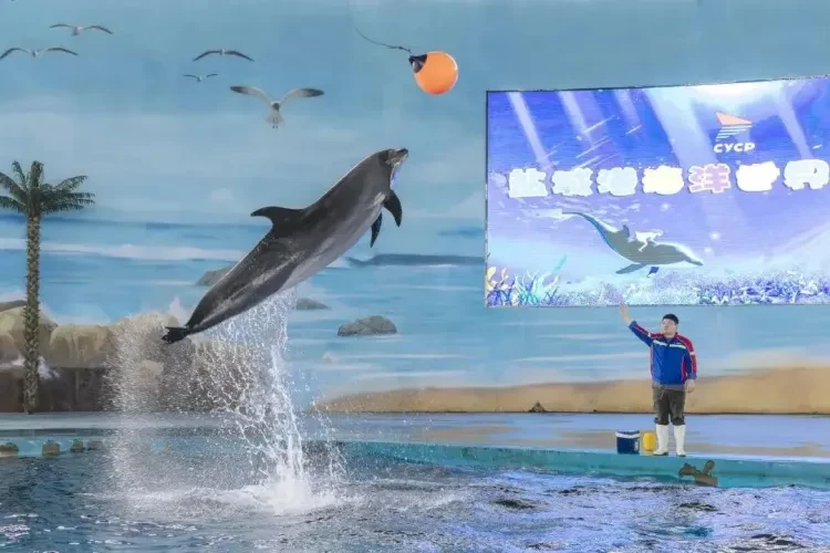 e172f5daf6ba720fb468a250fb61297b-sz_121834