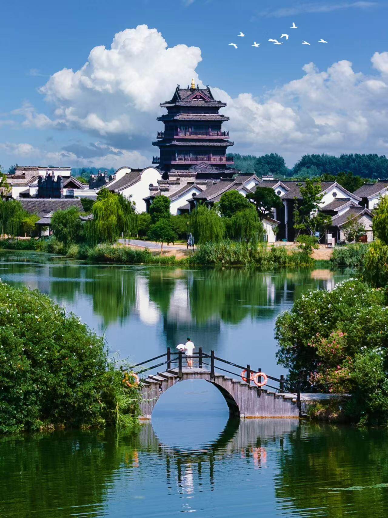 e176f109bea614b88ca67c1f541d290e-sz_315925-2 e176f109bea614b88ca67c1f541d290e-sz_315925-2