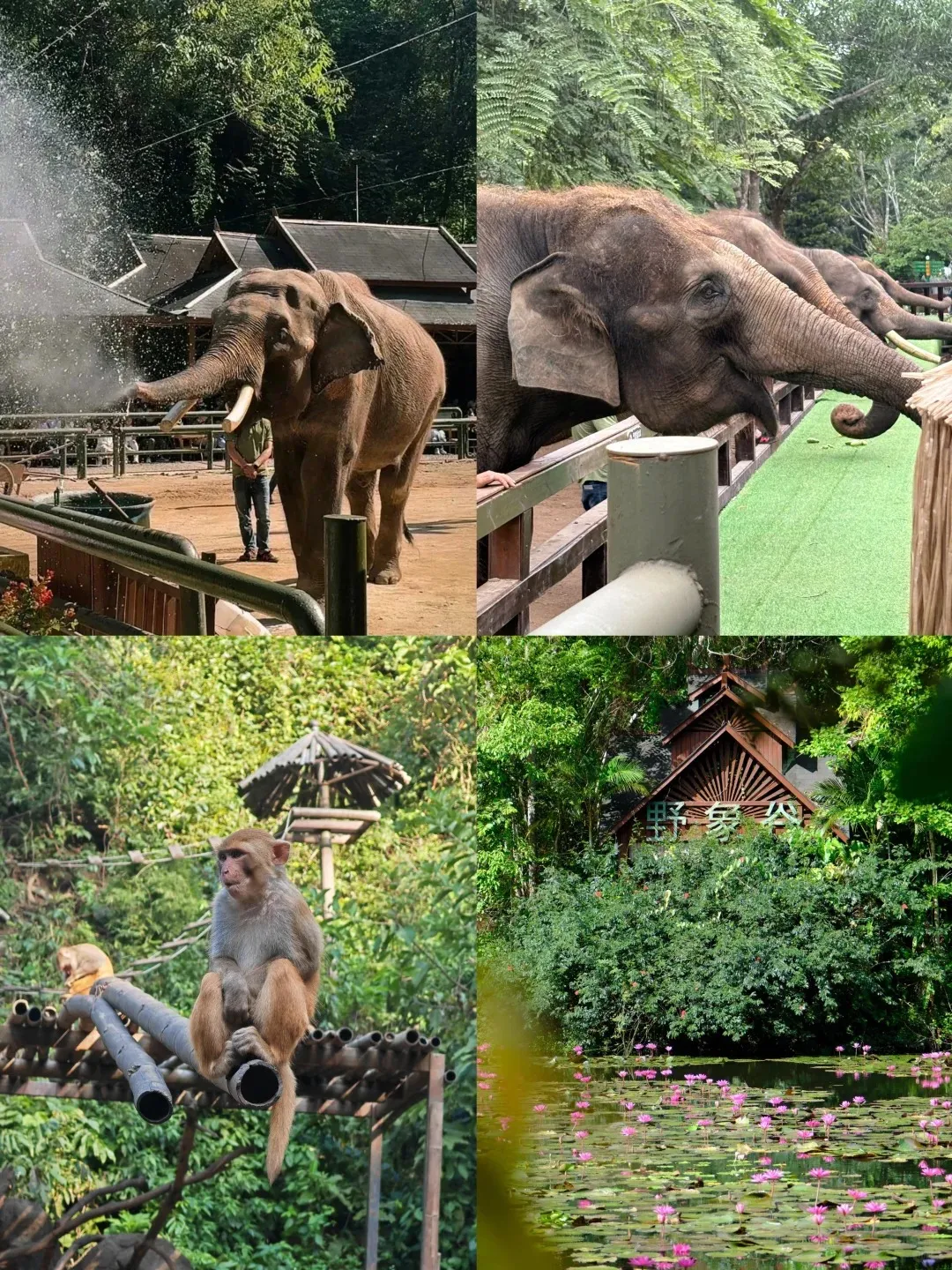 e1aeaef7ab6749f0792f15b818b5a226-sz_4623337-1 e1aeaef7ab6749f0792f15b818b5a226-sz_4623337-1