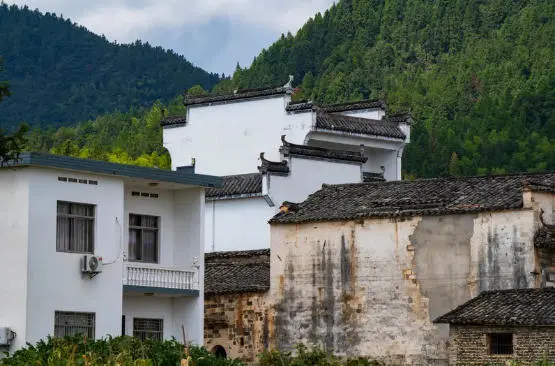 e1bc858a98cd519ad1f8b03d127e0850-sz_48227