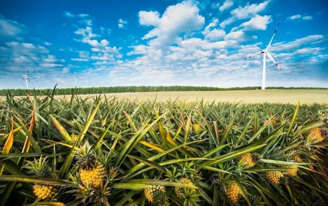 e2094be9bf3e4f4688bd5d321dfe6723-sz_161800 e2094be9bf3e4f4688bd5d321dfe6723-sz_161800