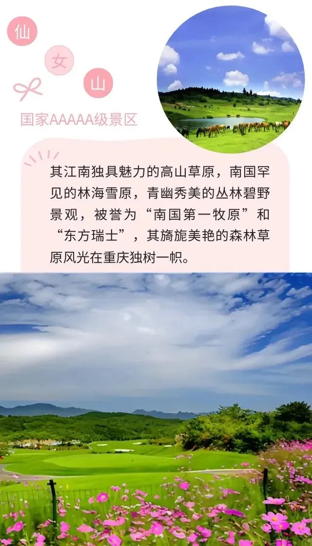 e21753f119e0bff639154f419fdb7c32-sz_185192