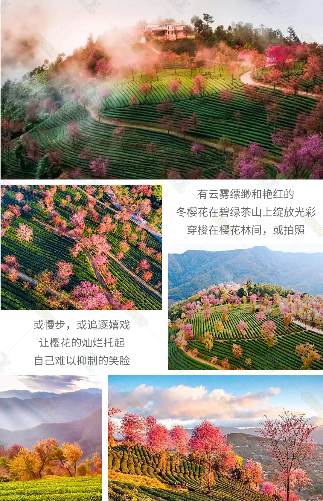 e22279621e2f94861f0789a69d78eee5-sz_1109079-1 e22279621e2f94861f0789a69d78eee5-sz_1109079-1