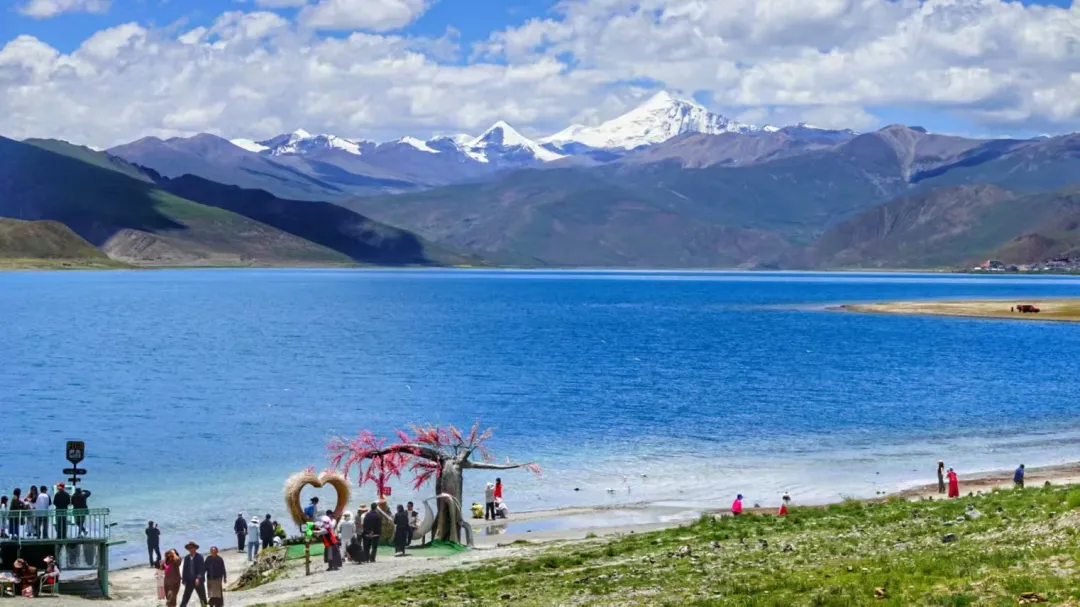 e2338397ca63ab06354998962d1690c6-sz_2557141