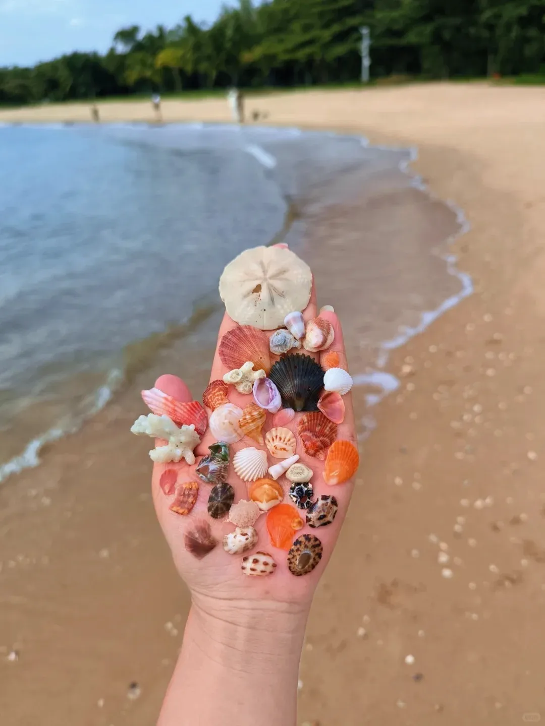 e24b5fca57cf8e2b717e6814208a7c69-sz_187213