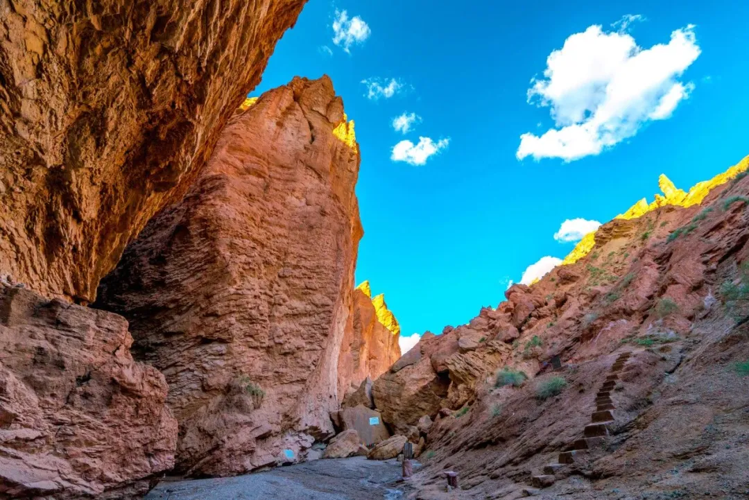 e2686c848c04555d562d27b1d30b284a-sz_274392