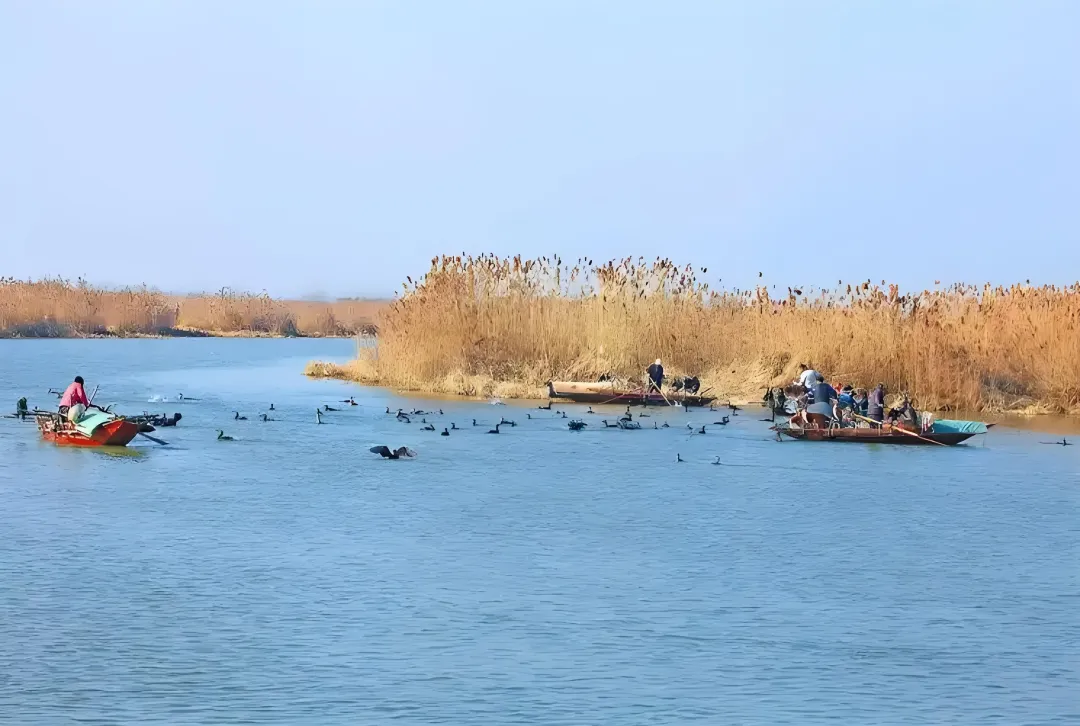 e29f5e36ac6ebff5105f01a4834f1b2e-sz_1279539