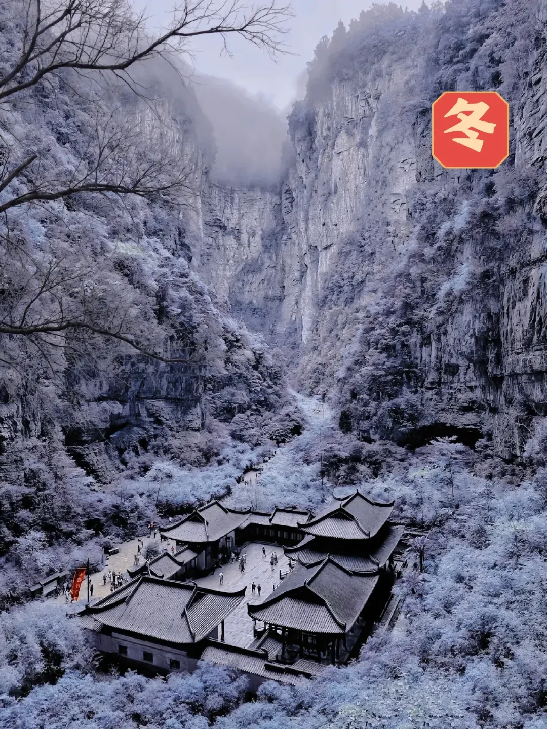 e2e846f2e94aea238b27843ec557358f-sz_3206773