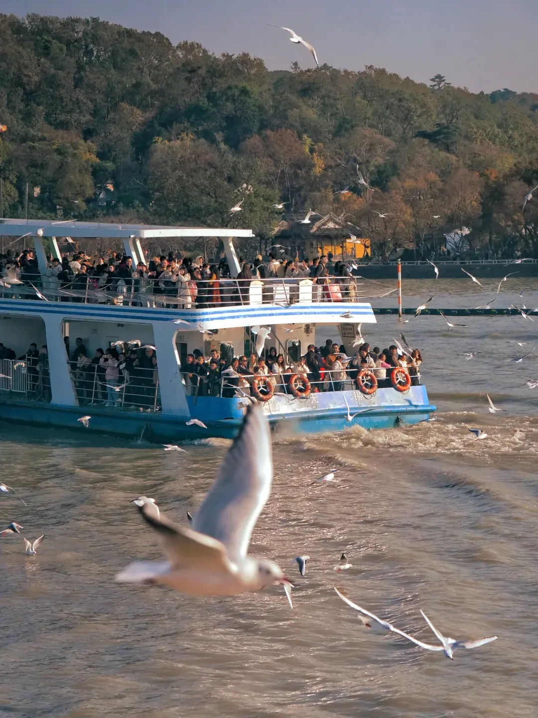 e2efbf98fe8730f4e82d71dccd7fe25e-sz_2955268-1