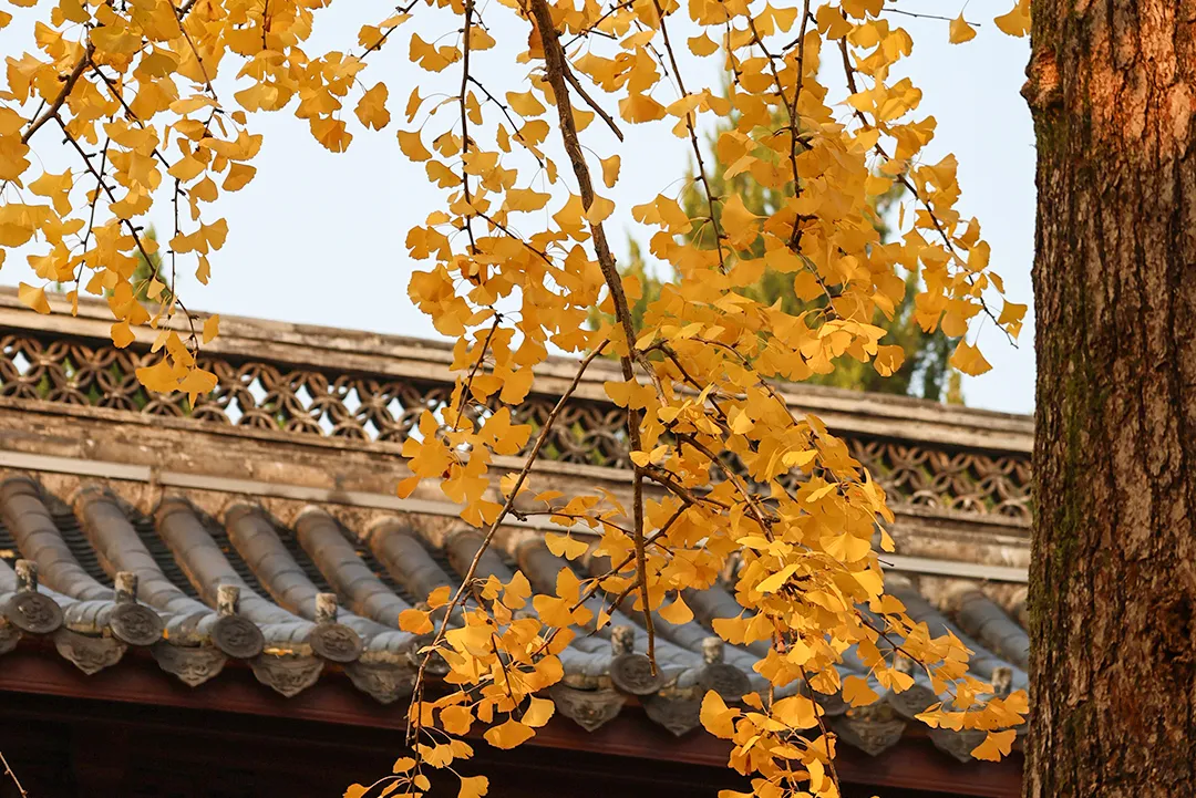 e300b66c52f9e232ff13402049bcab74_sz-2178784