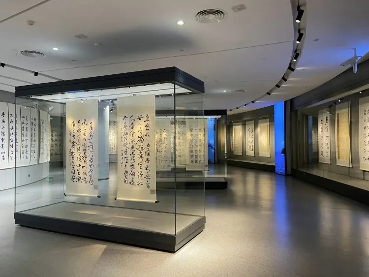 e308094c391376cb5b6ae533d5f85c17-sz_247124