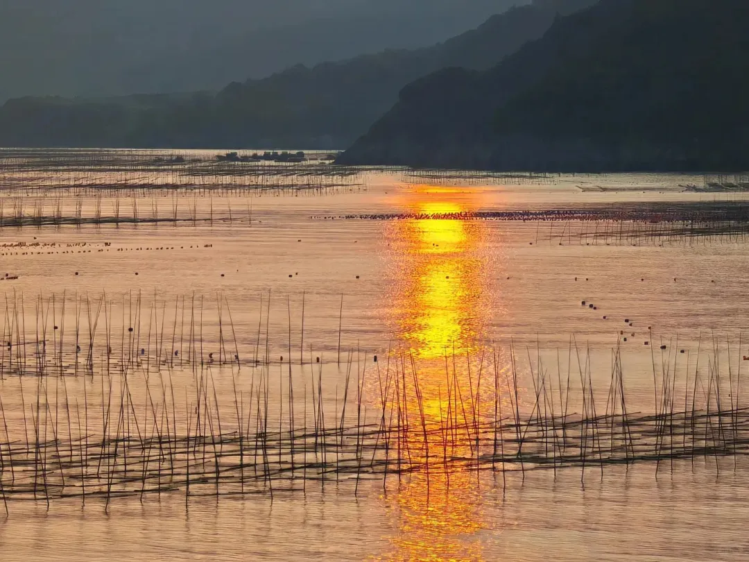 e30a913b2a2dad02c11b3785885b8641-sz_461134 e30a913b2a2dad02c11b3785885b8641-sz_461134