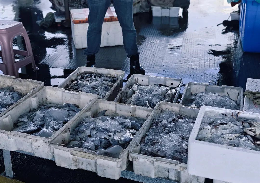 e37f7f513c0fdd2fcd713a3f6b2f3f86-sz_1406624 e37f7f513c0fdd2fcd713a3f6b2f3f86-sz_1406624