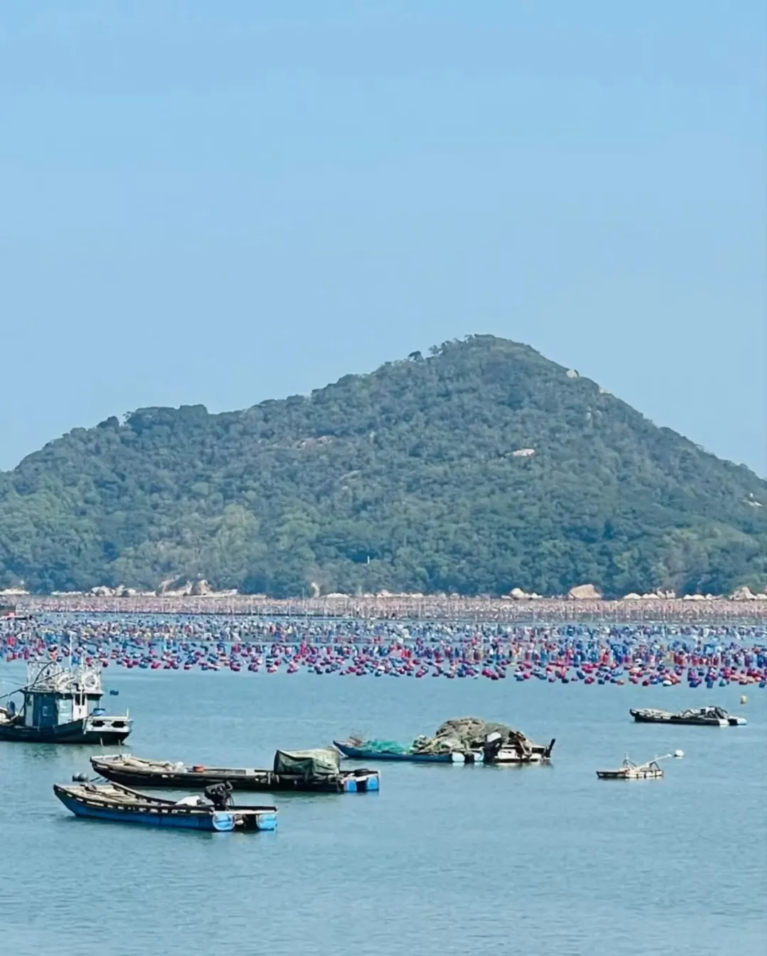 e3a72cf5a00d0745aec9d5f25fc62026-sz_658201-1 e3a72cf5a00d0745aec9d5f25fc62026-sz_658201-1