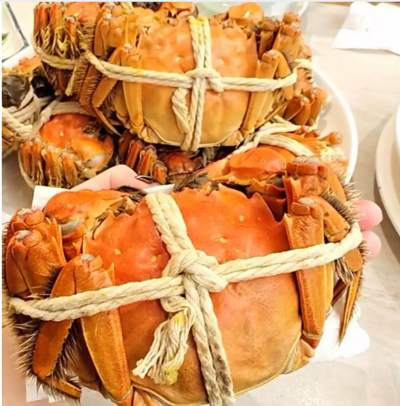 e3c5f78501699d0945292bb5ee59f582