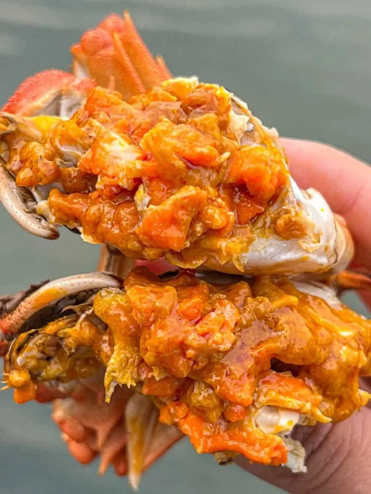 e44a45c6e3e6acdaab5f45cf282760c6-sz_3373901