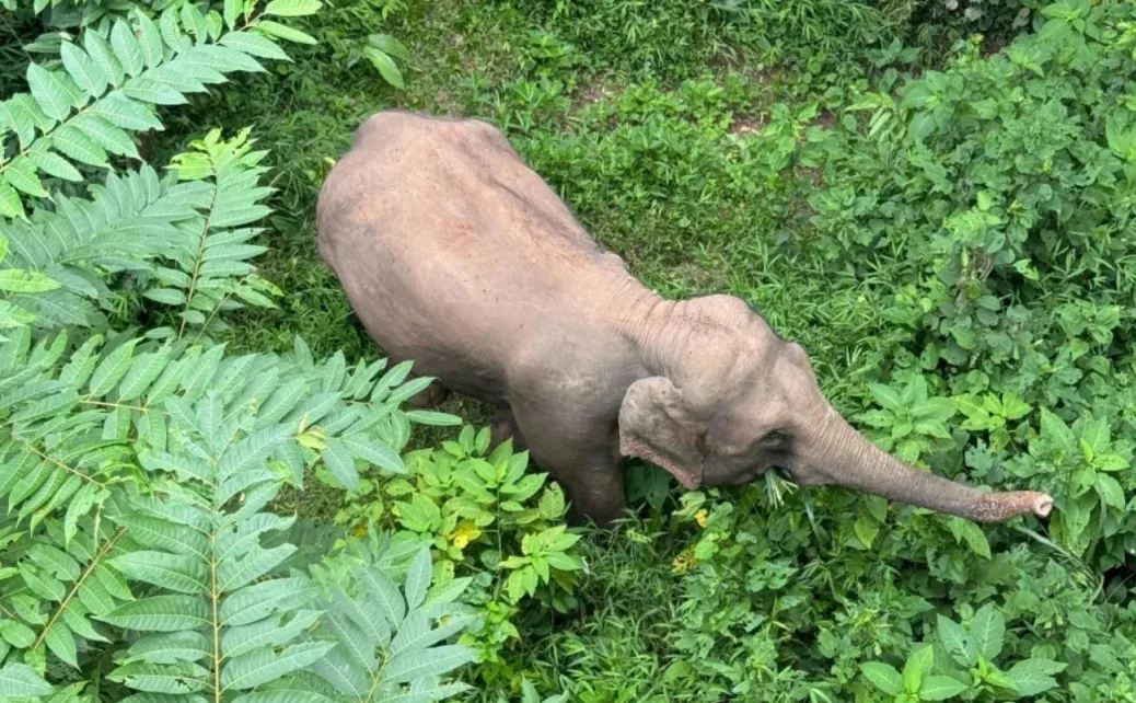 e47feb098a6f9850c749240b54f0f362-sz_3421361-2