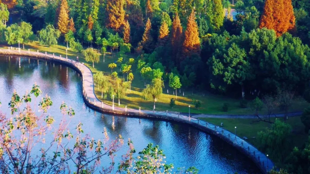 e4aab6671aca62b320a781464ed9b325-sz_1903094-1