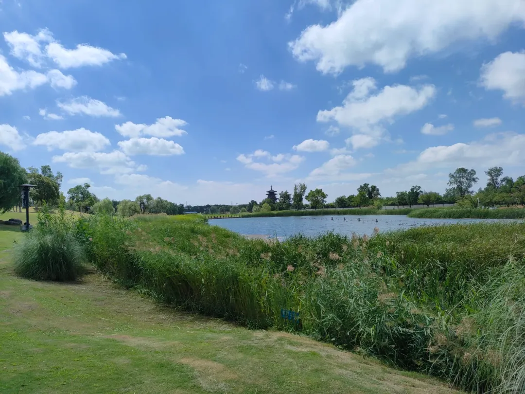 e4c43f3065c505accf378aeef5d70f7e-sz_2207845 e4c43f3065c505accf378aeef5d70f7e-sz_2207845