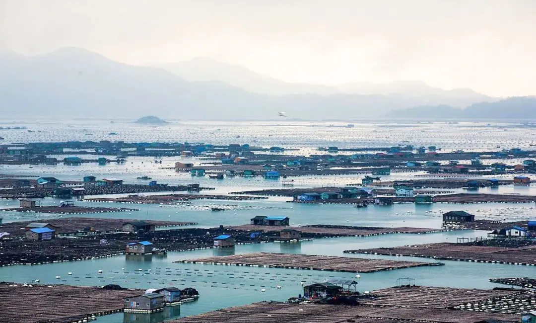 e4c8262e4f78653390f59c23487c6113-sz_996924