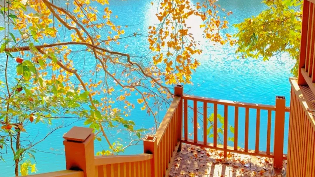 e533ba06be048226ec323331feec6d61-sz_3016589