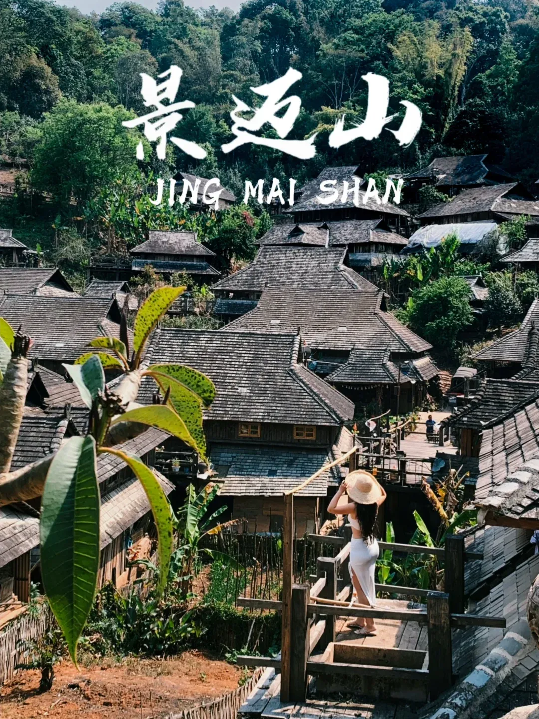 e535a4864a3b0c9144abf51e298396b6-sz_3887139