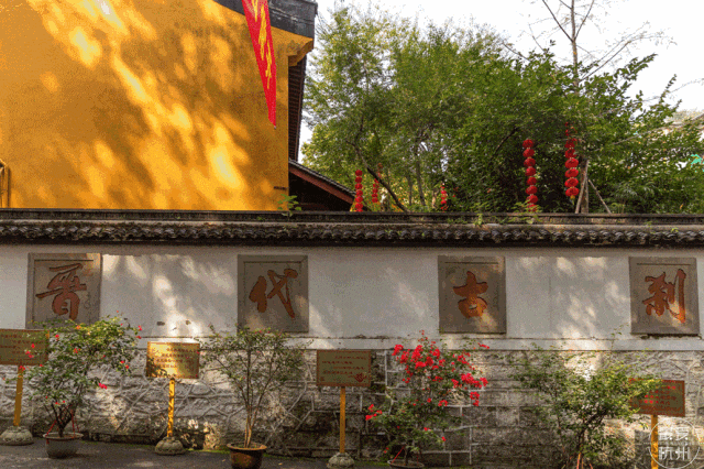 e55581b4e24c44d566a75d855547361d-sz_800187 e55581b4e24c44d566a75d855547361d-sz_800187