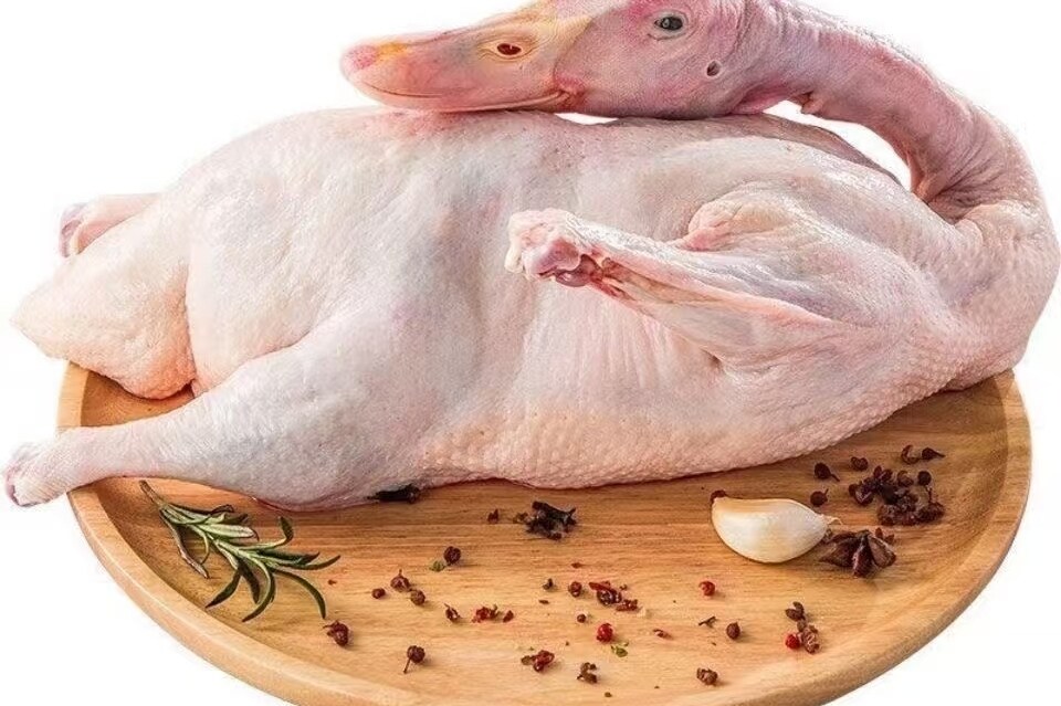 e58c47048b1f8aa7c6032e66f9f31c33-sz_370889 e58c47048b1f8aa7c6032e66f9f31c33-sz_370889