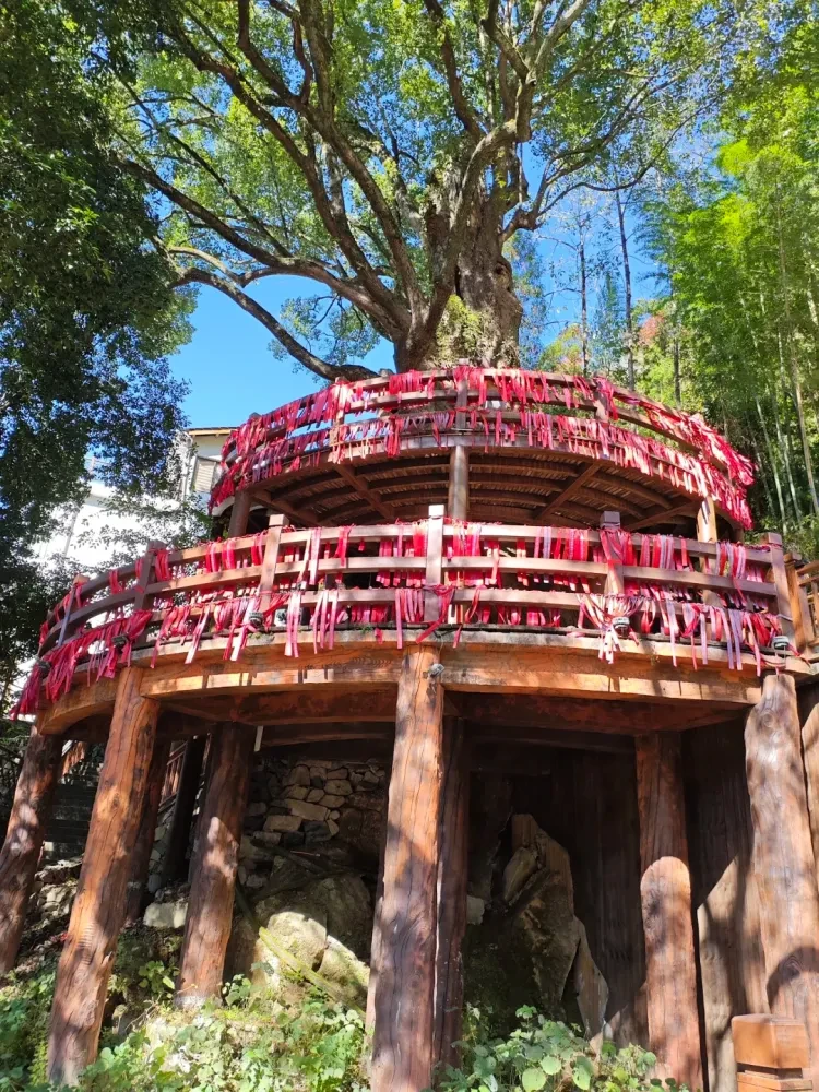 e5b3c5e37bd8d1c610be708439c15ec1-sz_4063576 e5b3c5e37bd8d1c610be708439c15ec1-sz_4063576